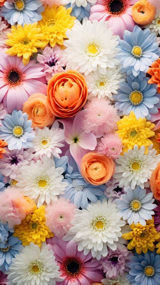 Spring flowers wallpaper nature petal plant. AI generated Image by rawpixel.