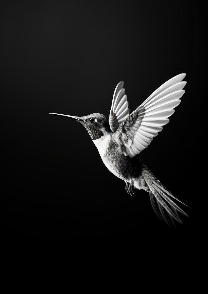 A hummingbird animal motion flying. AI generated Image by rawpixel.