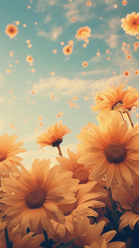 Field ofsunflower sky backgrounds landscape. AI generated Image by rawpixel.