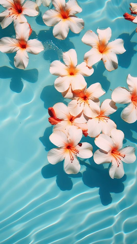 Flowers pool backgrounds outdoors blossom. | Free Photo - rawpixel