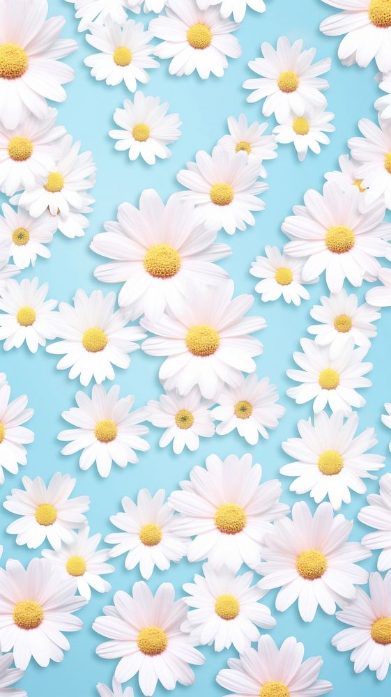 Daisy flower field backgrounds wallpaper petal. AI generated Image by rawpixel.