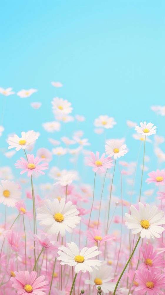 Daisy flower field backgrounds outdoors blossom. AI generated Image by rawpixel.