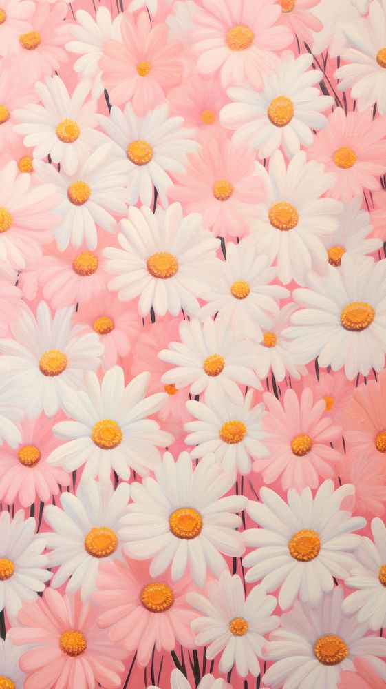 Daisy flower field backgrounds pattern petal. 