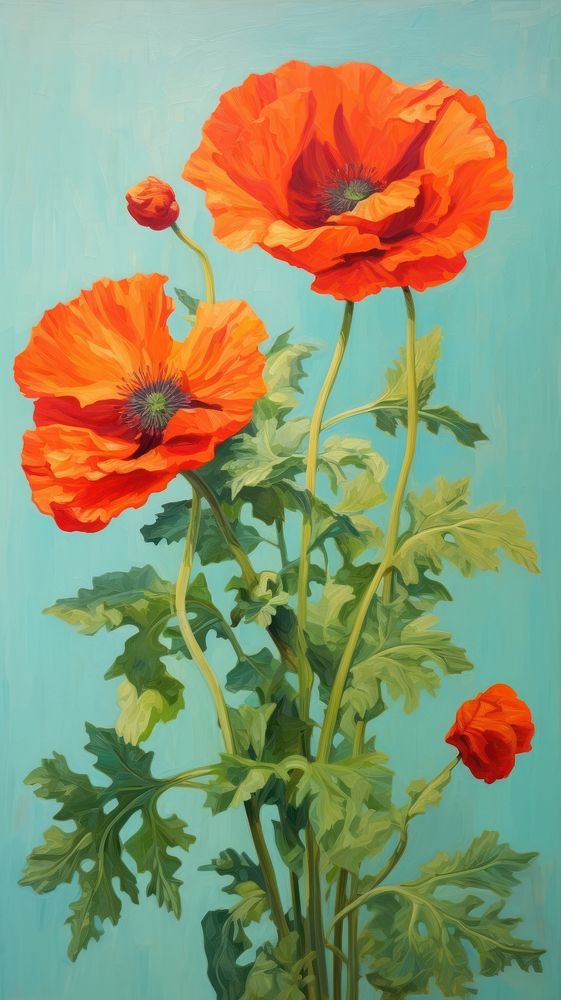 Poppy flower painting plant inflorescence. AI generated Image by rawpixel.