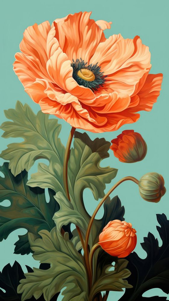 Poppy flower painting plant rose. AI generated Image by rawpixel.