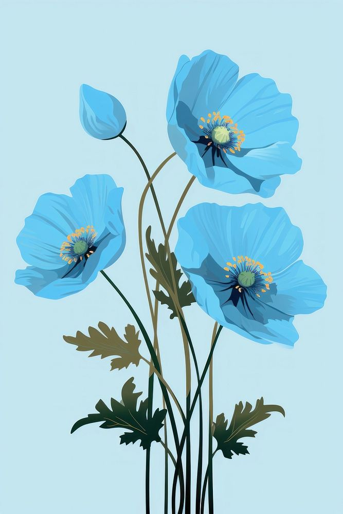 Himalayan blue poppy bouquet flower plant inflorescence. AI generated Image by rawpixel.