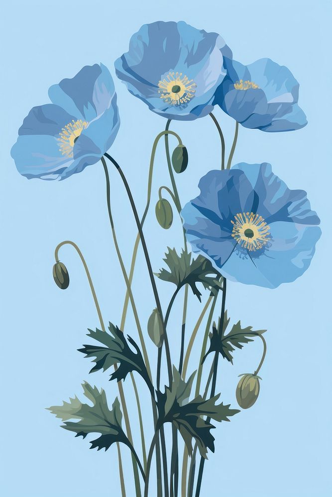 Himalayan blue poppy bouquet flower plant inflorescence. AI generated Image by rawpixel.