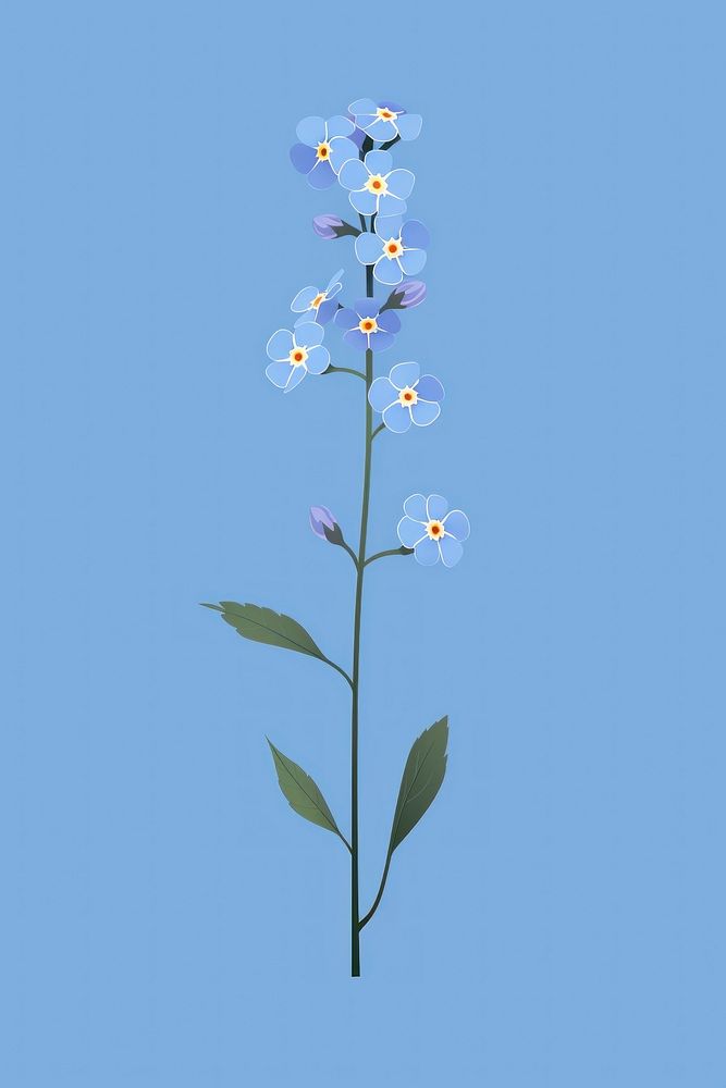 Forget me not blossom flower plant. AI generated Image by rawpixel.