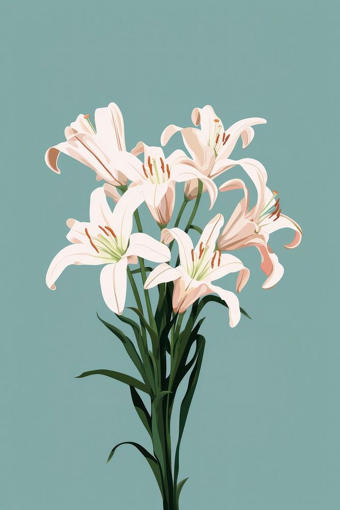 Madonna lily bouquet flower plant amaryllidaceae. AI generated Image by rawpixel.