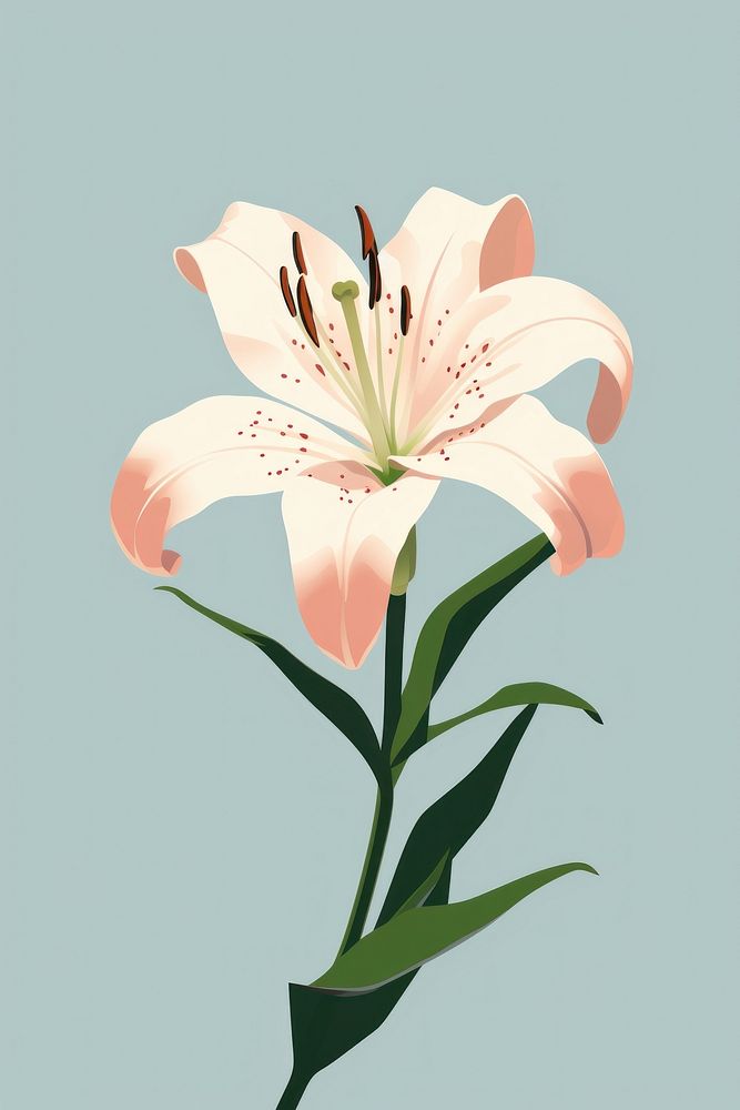Lily blossom flower plant. AI generated Image by rawpixel.