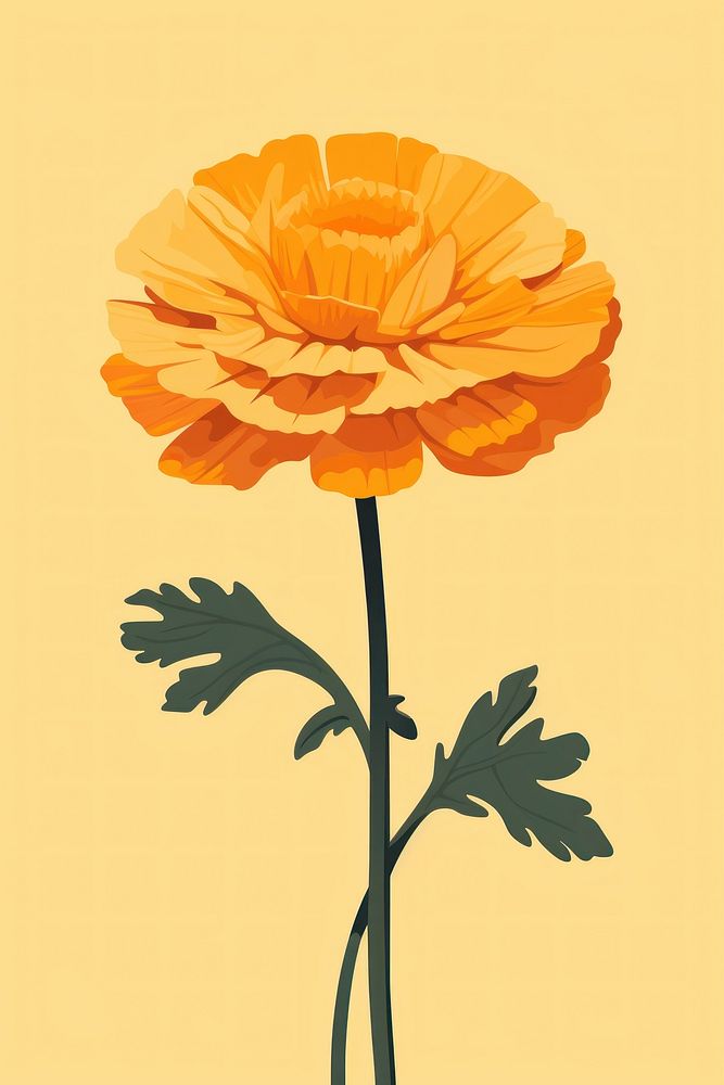 Fig marigold flower petal plant. AI generated Image by rawpixel.