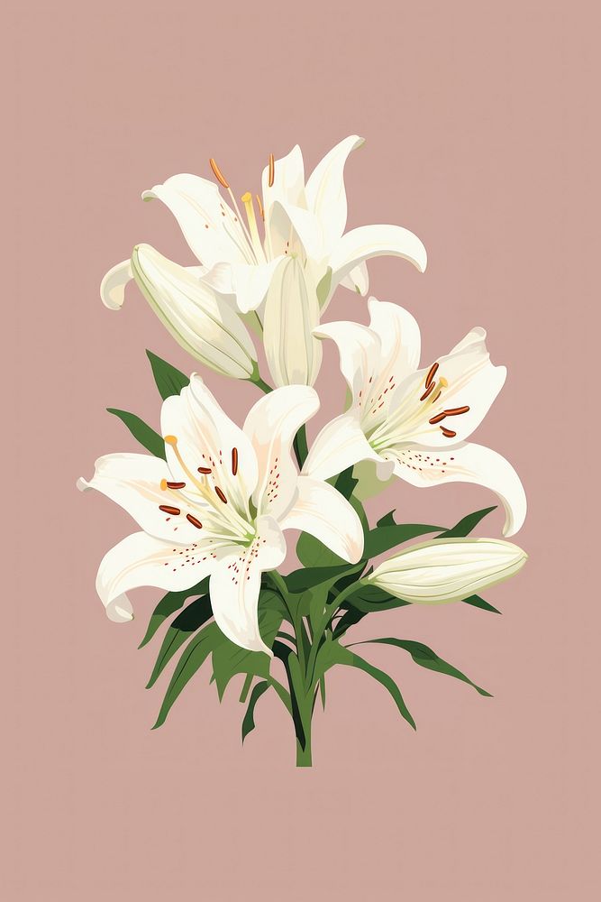 Lily bouquet flower plant inflorescence. AI generated Image by rawpixel.