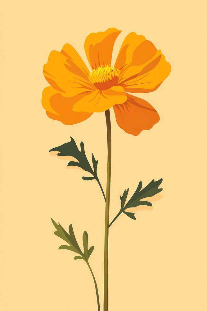 Fig marigold flower petal plant. AI generated Image by rawpixel.