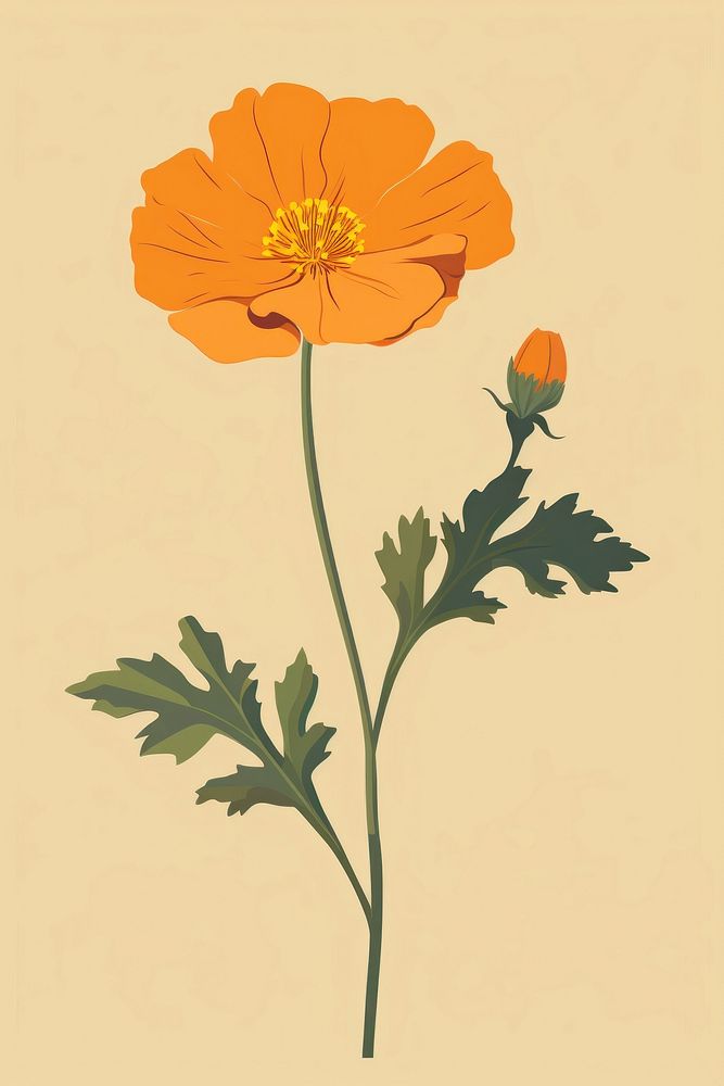 Fig marigold flower plant petal. AI generated Image by rawpixel.
