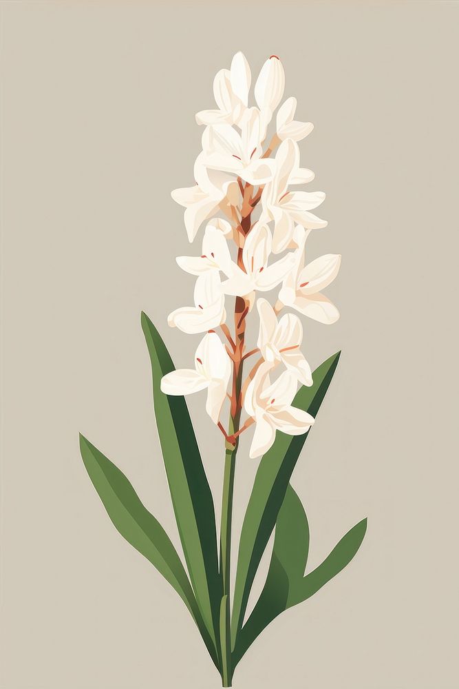 Tuberose blossom flower plant. AI generated Image by rawpixel.