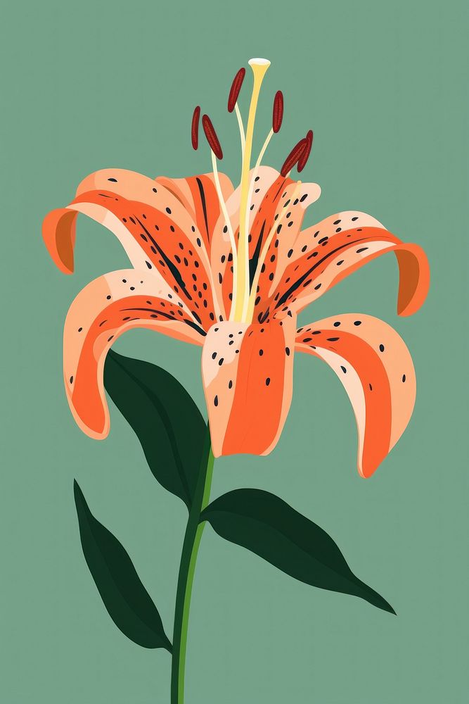 Tiger lily flower plant inflorescence. AI generated Image by rawpixel.