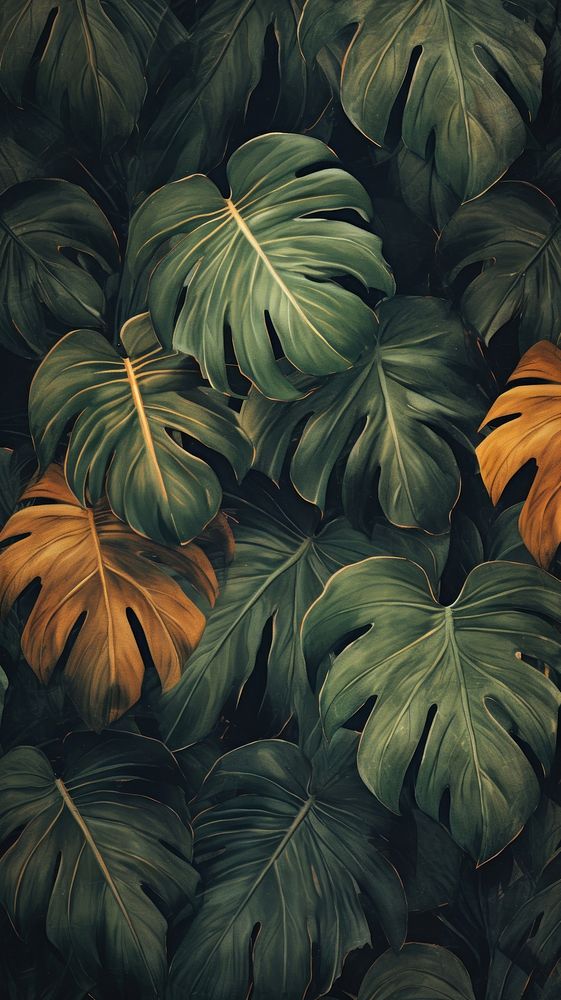 Leaf wallpaper backgrounds outdoors nature. AI generated Image by rawpixel.