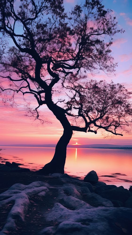 Vanilla sky wallpaper outdoors nature sunset. AI generated Image by rawpixel.