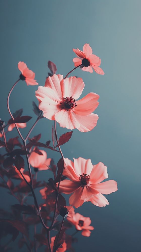 Flower outdoors blossom nature. AI generated Image by rawpixel.