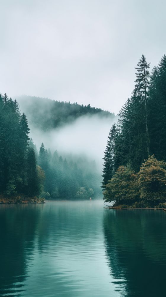The lake surrounded by trees and clouds outdoors nature forest. AI generated Image by rawpixel.