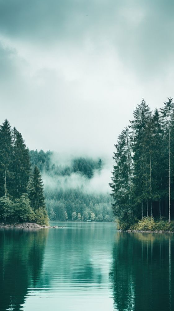 The lake surrounded by trees and clouds landscape outdoors nature. AI generated Image by rawpixel.