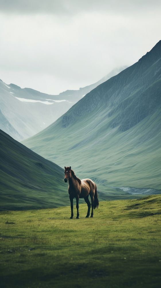 Horse landscape field grassland. AI generated Image by rawpixel.
