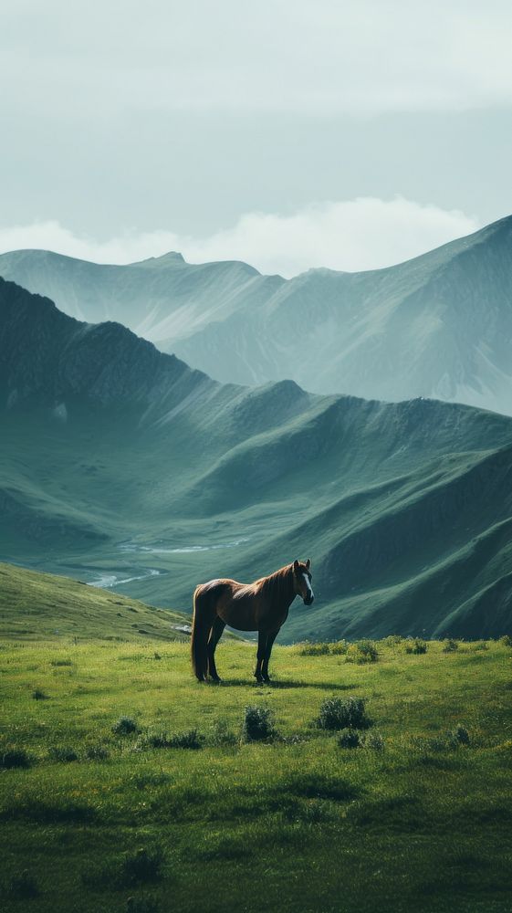 Horse landscape grazing field. AI generated Image by rawpixel.