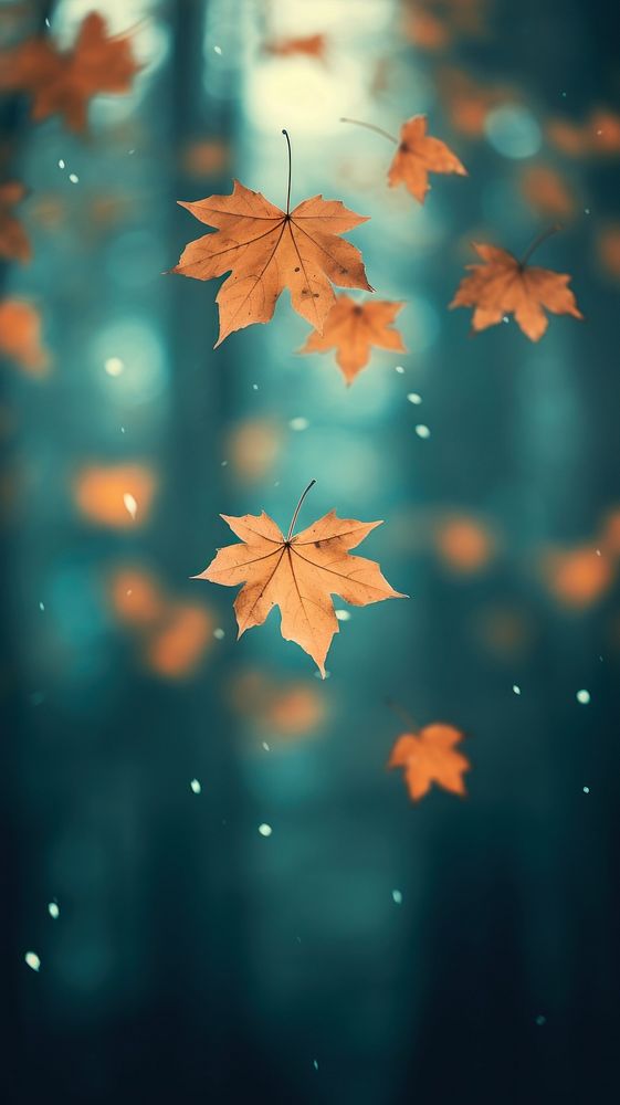 Maple leaves falling with forest background backgrounds plant light. AI generated Image by rawpixel.