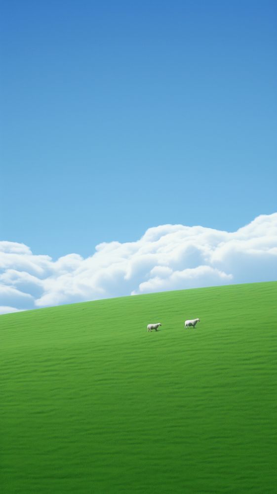 White sheep grazing on a lush green field land grassland livestock. AI generated Image by rawpixel.