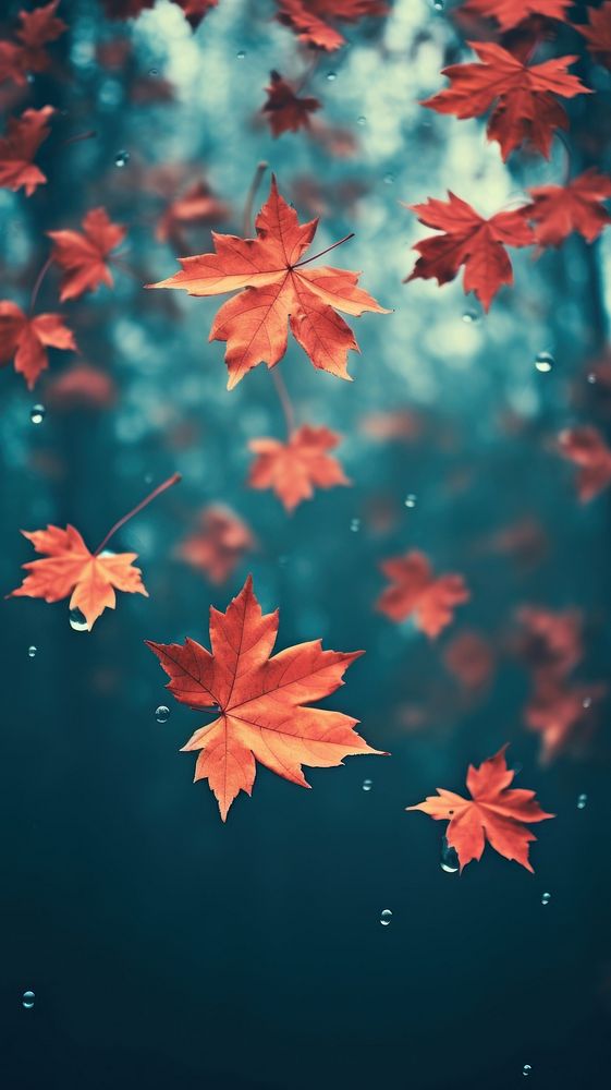 Red maple leaves falling with autumn background backgrounds plant leaf. AI generated Image by rawpixel.
