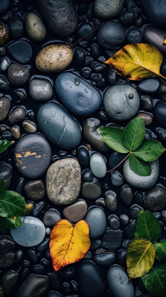 Stones in river in the forest pebble nature plant. AI generated Image by rawpixel.