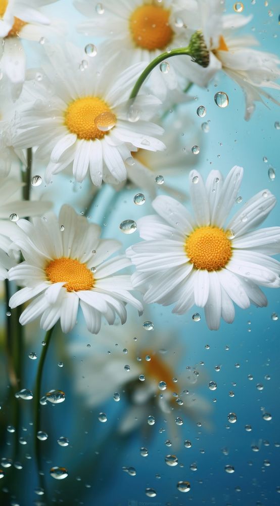 Rain outdoors blossom flower. AI generated Image by rawpixel.
