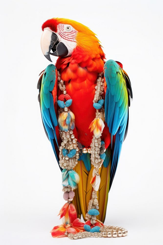 Macaw jewelry animal parrot. AI generated Image by rawpixel.