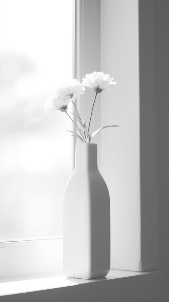 Flower in the vase by the window windowsill plant white. AI generated Image by rawpixel.