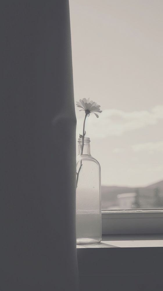 Flower in the vase by the window white monochrome windowsill. AI generated Image by rawpixel.