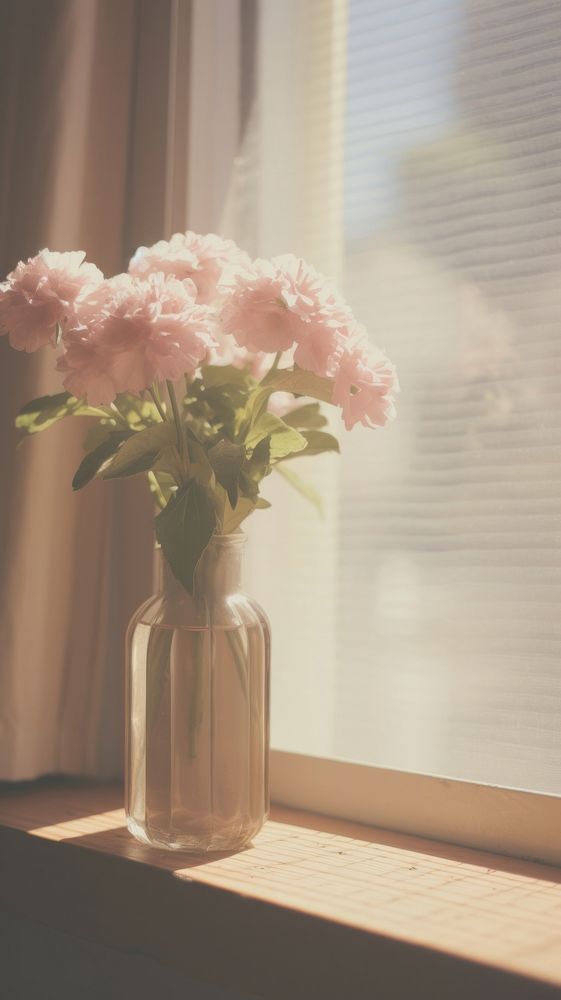 Flower in the vase by the window windowsill plant pink. AI generated Image by rawpixel.