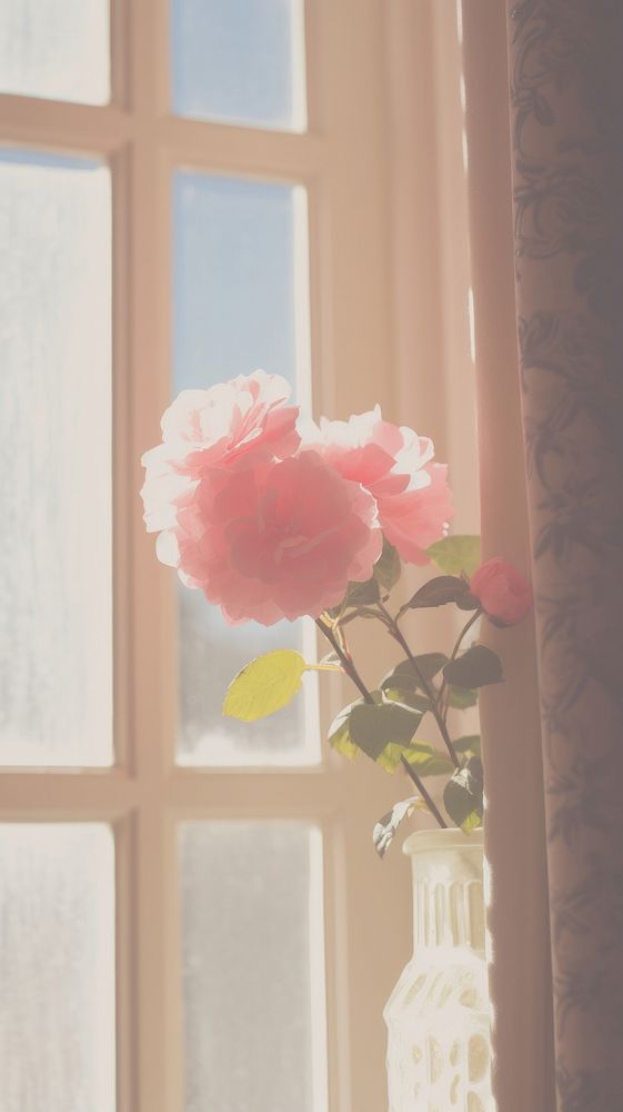 Flower in the vase by the window windowsill petal plant. AI generated Image by rawpixel.