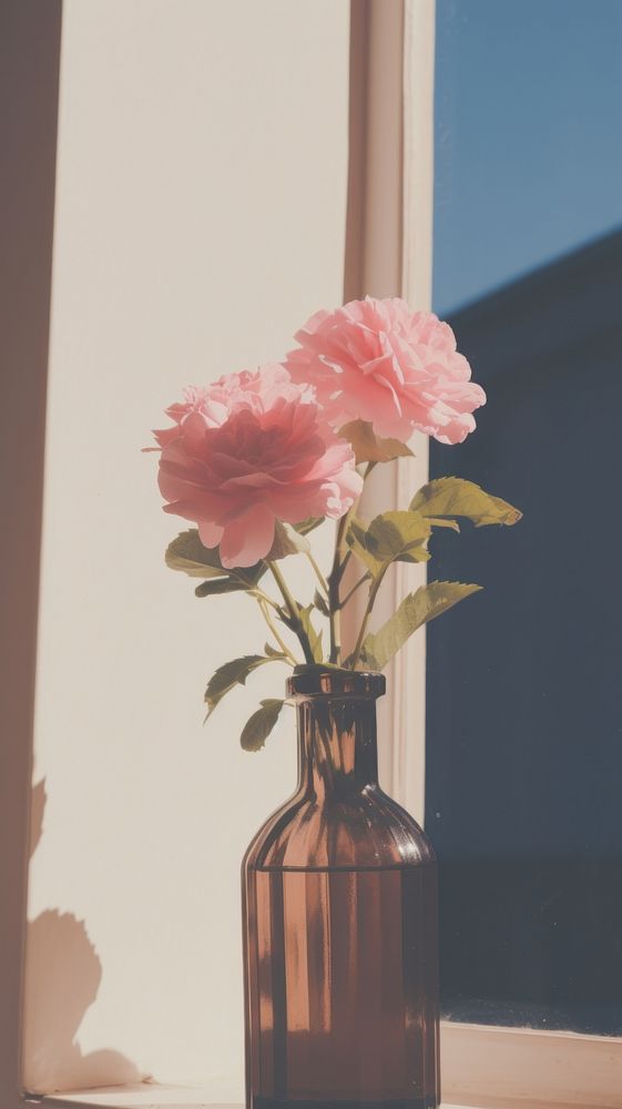 Flower in the vase by the window windowsill plant rose. AI generated Image by rawpixel.