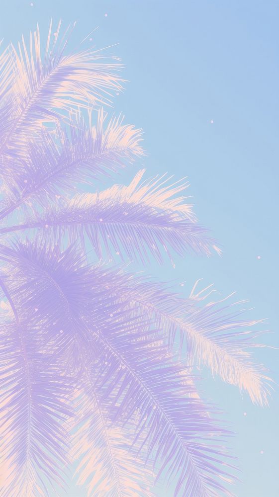 Palm outdoors nature plant. AI generated Image by rawpixel.