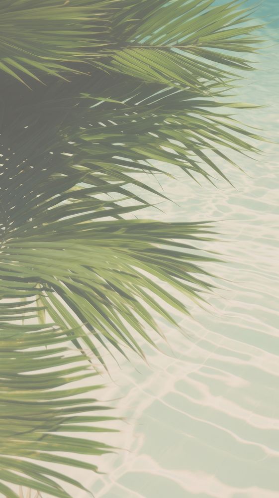 Palm leaves underwater outdoors nature plant. AI generated Image by rawpixel.