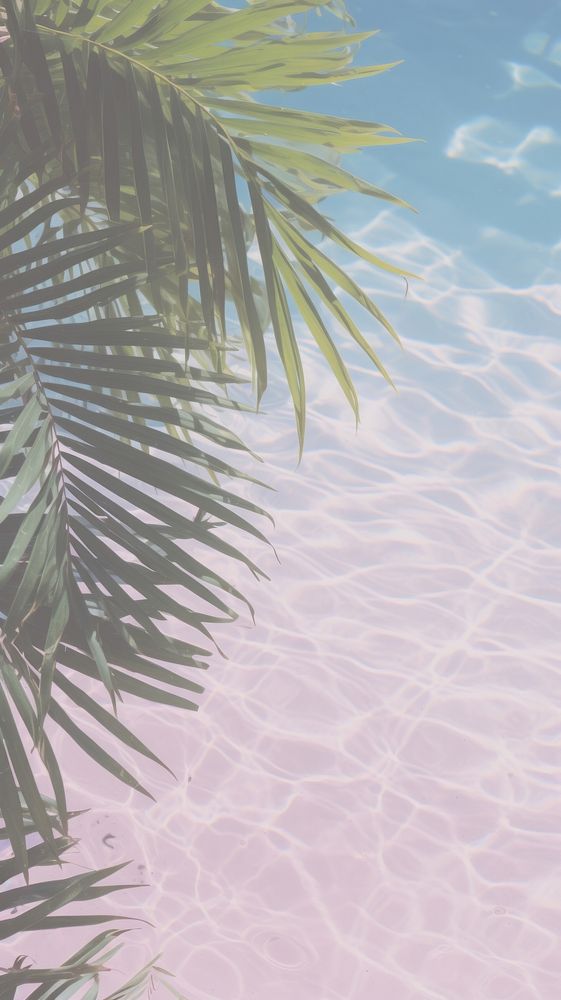 Palm leaves underwater outdoors nature summer. AI generated Image by rawpixel.