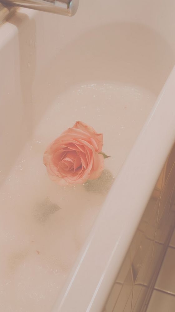 Rose sink bathtub flower plant. AI generated Image by rawpixel.