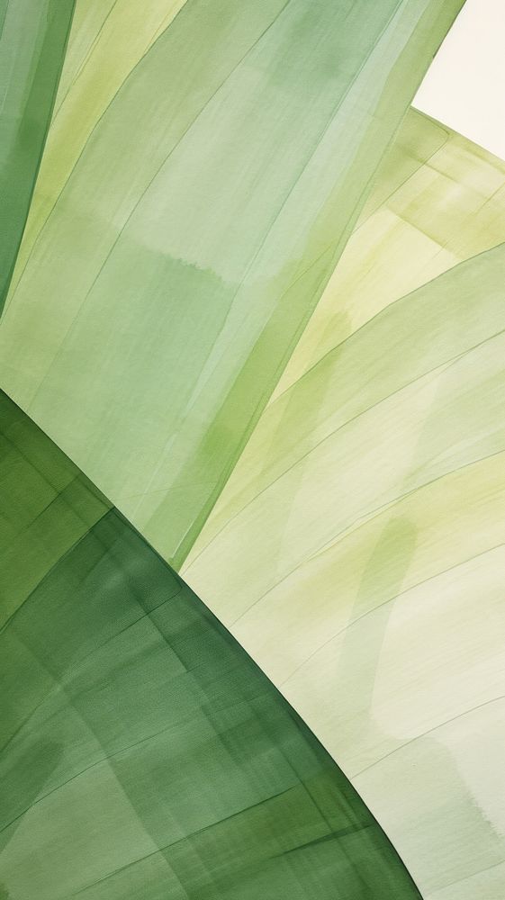 Green abstract plant leaf. 