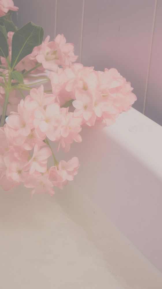 Flowers sink bathtub petal plant. AI generated Image by rawpixel.