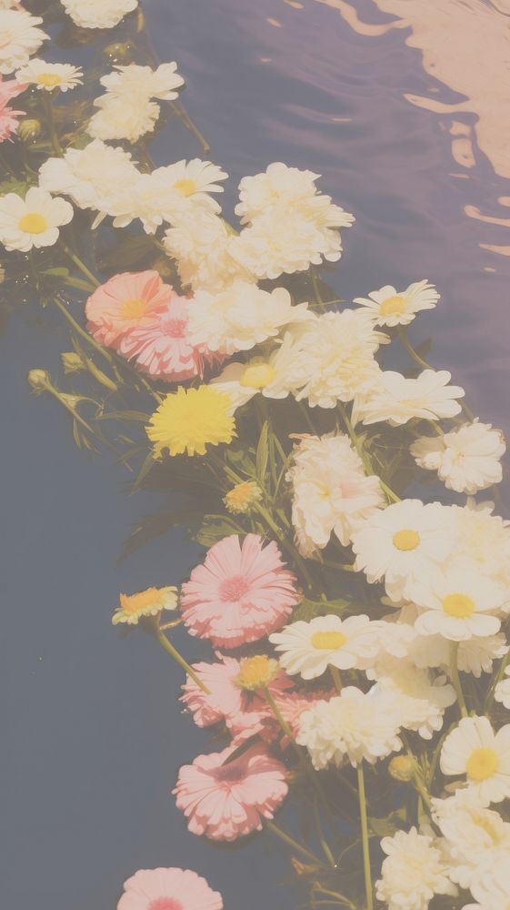 Flowers sink outdoors nature petal. AI generated Image by rawpixel.