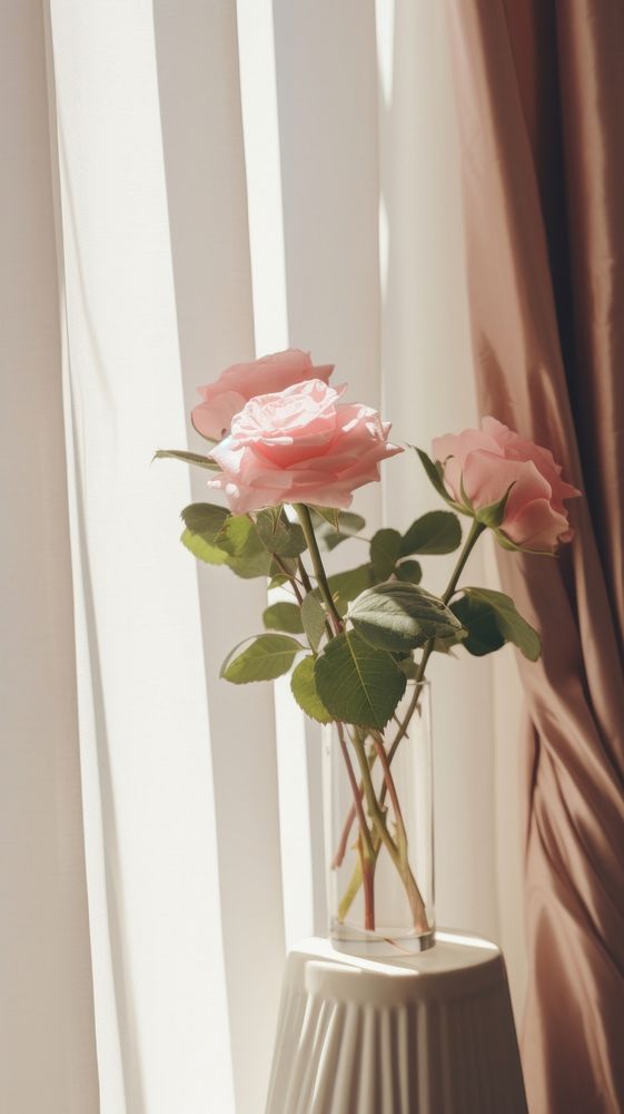 Rose in the vase by the window windowsill lighting curtain. AI generated Image by rawpixel.