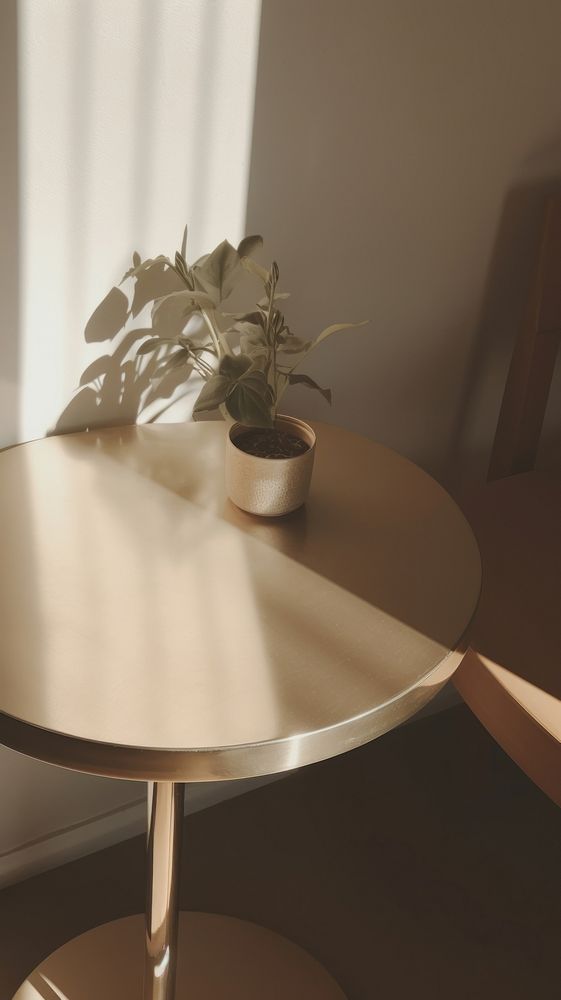 Table furniture shadow plant. AI generated Image by rawpixel.