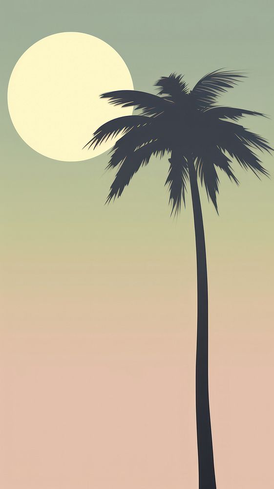 Palm tree moon outdoors nature. 