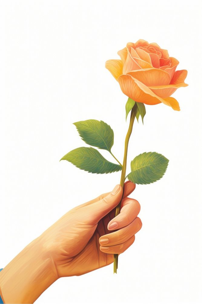 A hand holding rose flower plant leaf. 