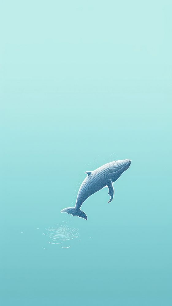 Whale animal mammal shark. AI generated Image by rawpixel.